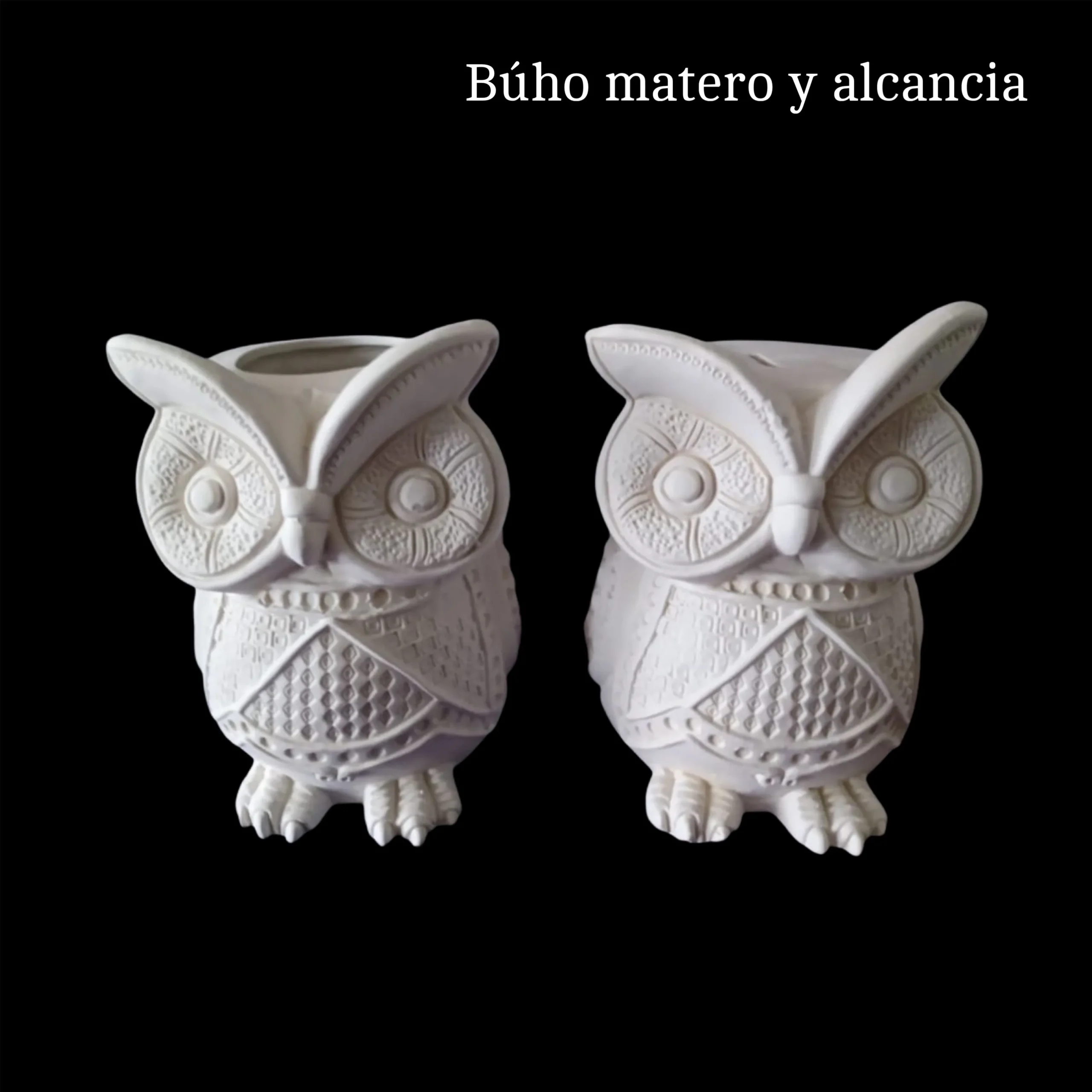 DD6326F8-7F95-4C12-8294-E758341A5057_resultado