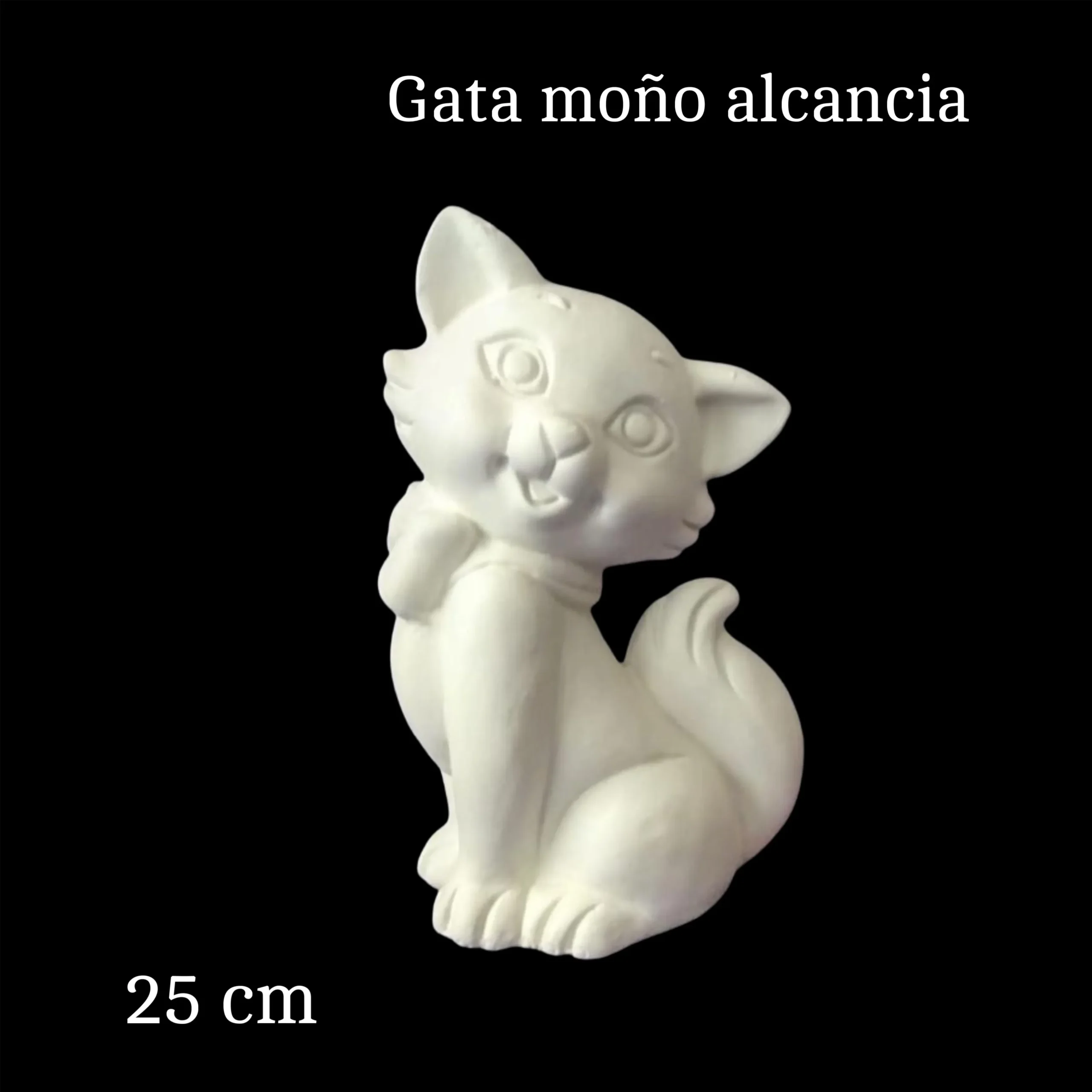 E46D1650-2D29-419A-8A0D-11B2F2FD4697_resultado